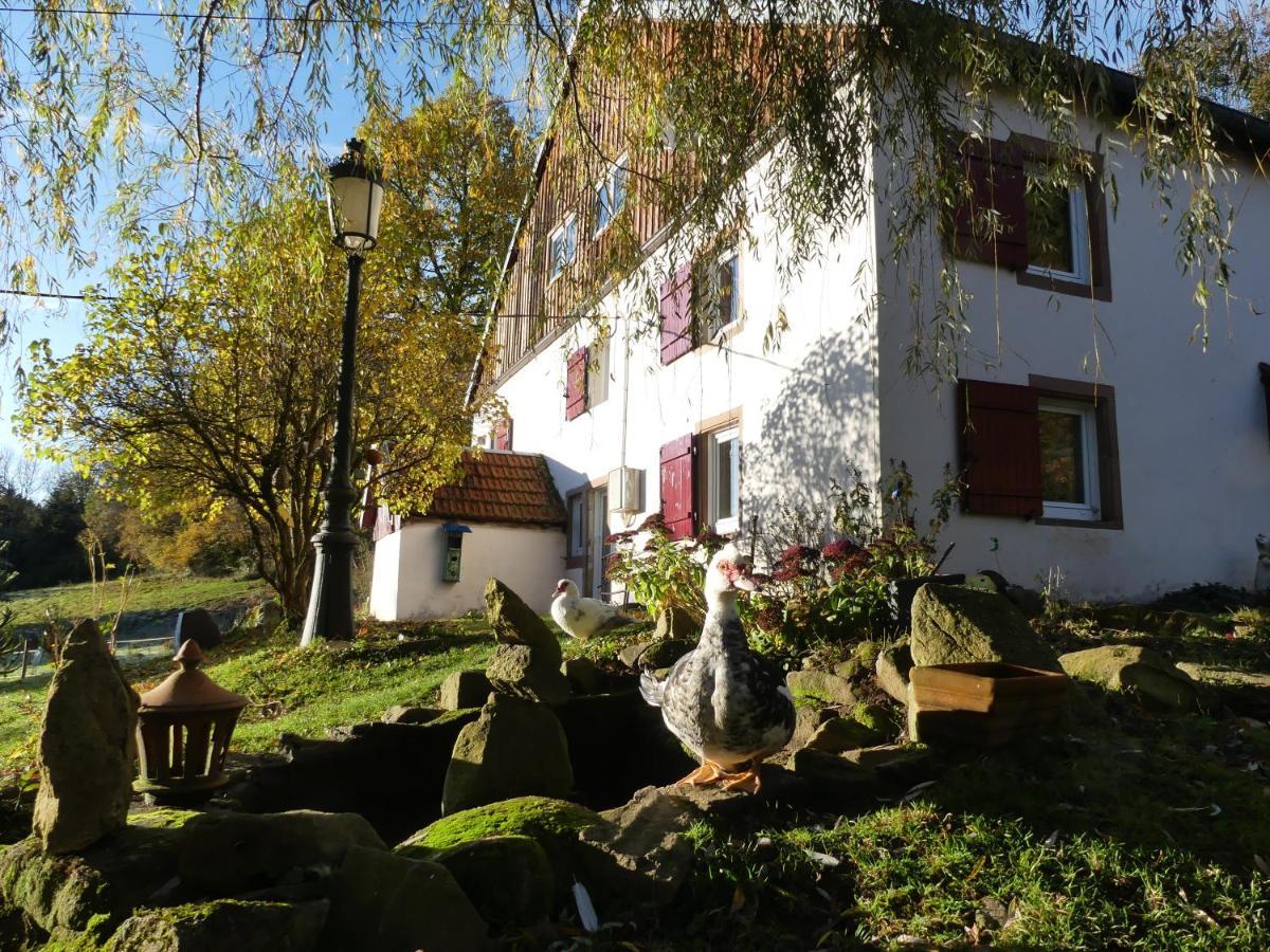 La grange du kerala Bed & Breakfast Ban-sur-Meurthe-Clefcy Bagian luar foto